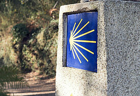 Pilgersymbol Jacobsweg