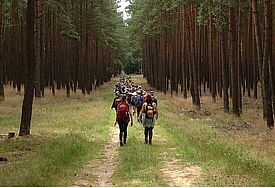 Es geht auch viel durch Wälder: Der Jugendchor der Rostocker  St. Johannis-Kantorei wandert durch Mecklenburg von Konzert zu Konzert.