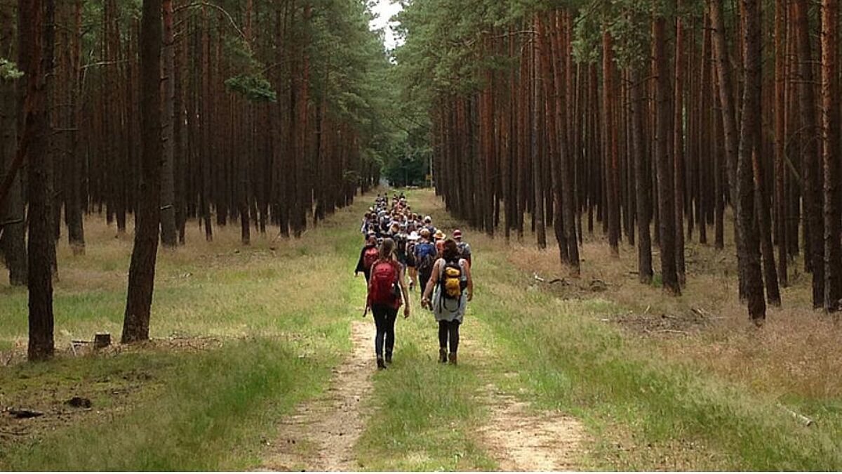 Jugendkantorei Es geht auch viel durch Wälder: Der Jugendchor der Rostocker St. Johannis-Kantorei wandert durch Mecklenburg von Konzert zu Konzert.