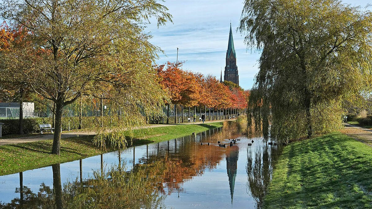 Der Schleswiger Dom St. Petri