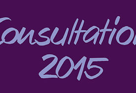 Schriftzug Consultation