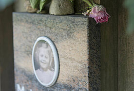 Eine rosa Rose liegt auf einer Gedenktafel.