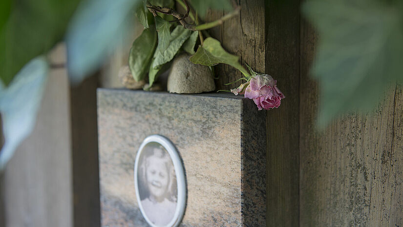 Am 20. April 1945 wurden in der Hamburger Schule am Bullenhuser Damm 20 jüdische Kinder ermordet. Im Rosengarten neben der Schule erinnern heute Tafeln an das Schicksal der Kinder. Eine rosa Rose liegt auf einer Gedenktafel.