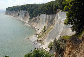 Kreidefelsen auf Rügen.
