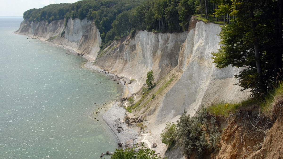 Kreidefelsen auf Rügen.