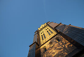 Domturm aus der Frischperspektive