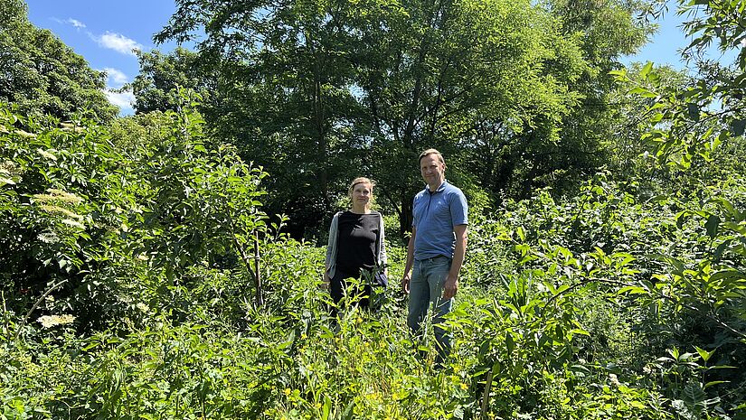 Brombeergestrüpp und Brennnesseln wachsen in der "Walachei". Barbara Bruder und Pastor Björn Begas ist wichtig, das Teile des Gartens wild bleiben dürfen.