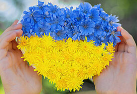 Blau-gelbes Blumengesteck in Herzform