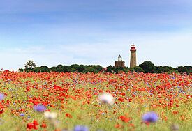 Ein Klatschmohnfeld, in der Ferne ein Leuchtturm, dahinter der blaue Himmel