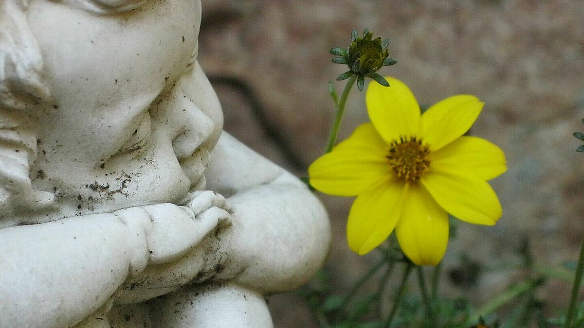 Eine sitzend e weiße Engelsfigur, links, schräg von oben aufgenommen, rechts eine gelbe Blüte