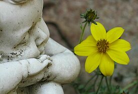 Eine sitzend e weiße Engelsfigur, links, schräg von oben aufgenommen, rechts eine gelbe Blüte