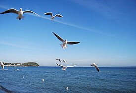 Timmendorfer Strand.