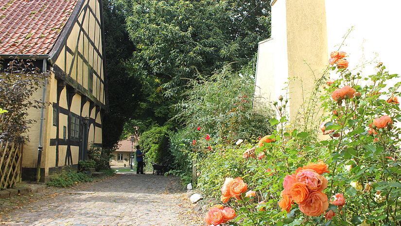 Blühende Rosen am Rand eines gepflasterten Weges auf dem Gelände des St. Johannisklosters.