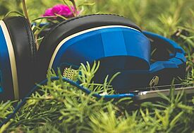 Blaue Kopfhörer liegen im Gras, dahinter dunkelpinke Blumen