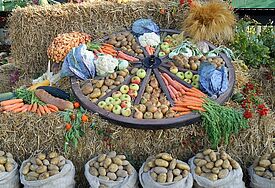 Üblicherweise wird zu den Erntedankgottesdiensten in den Kirchen der Altar und während der Erntedankfeierlichkeiten das Festgelände symbolisch mit ausgewählten Erträgen der Ernte geschmückt. 
