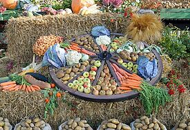 Üblicherweise wird zu den Erntedankgottesdiensten in den Kirchen der Altar und während der Erntedankfeierlichkeiten das Festgelände symbolisch mit ausgewählten Erträgen der Ernte geschmückt. 