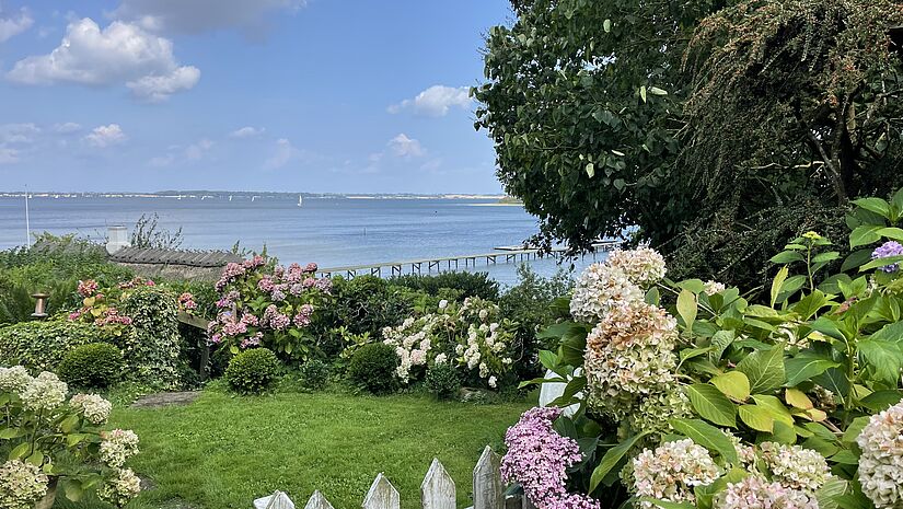 Blick über einen Garten mit Hortensien auf die Küstenregion der Ostsee. 