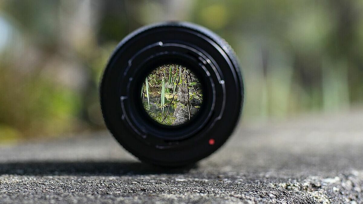 Die Natur soll beim Fotowettbewerb im Fokus stehen. Die Natur soll beim Fotowettbewerb im Fokus stehen.