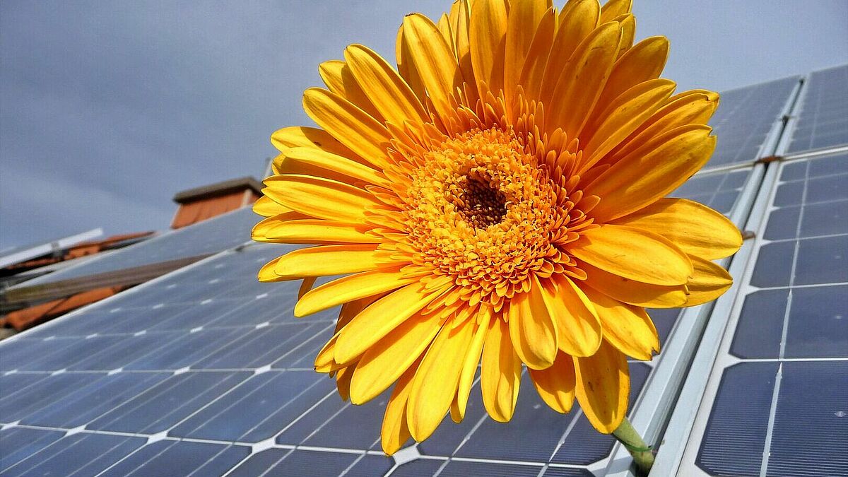 Solaranlage auf dem Dach für Nachhaltigkeit