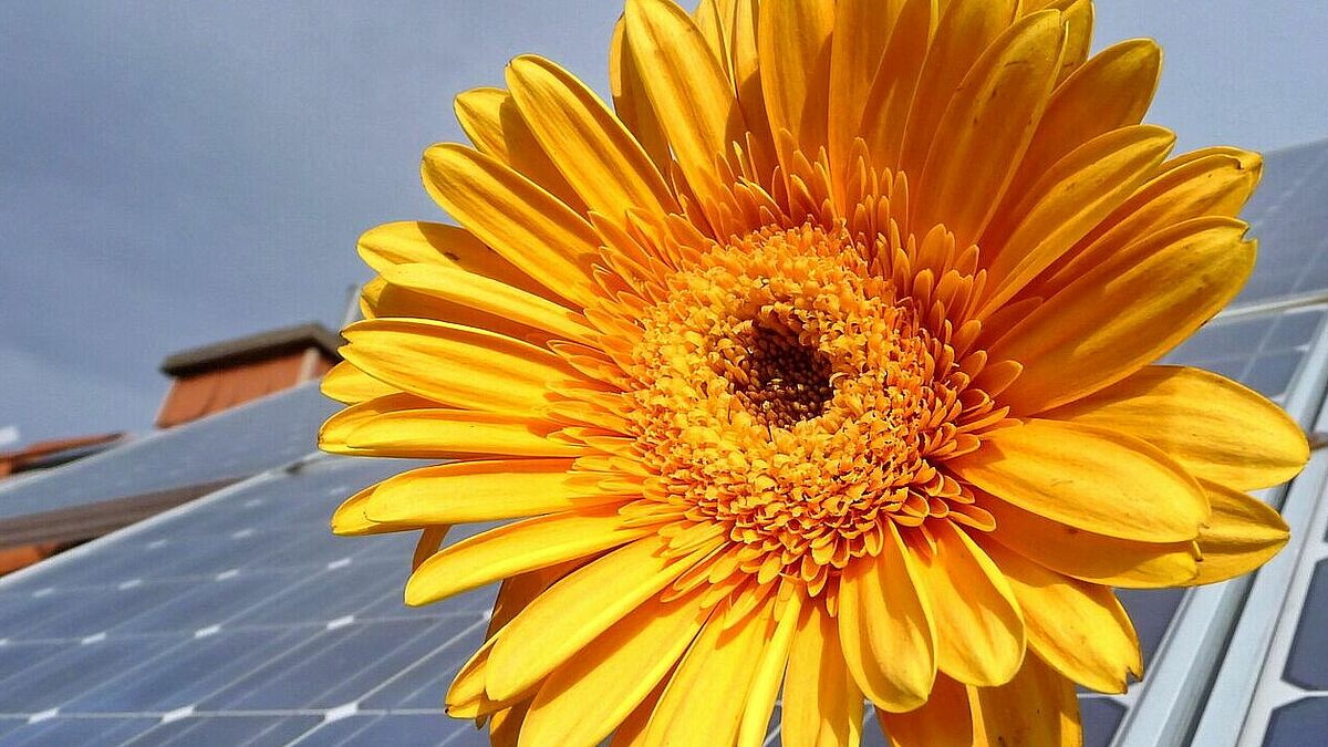Solarzellen sorgen auch auf dem Dach des Diakonisches Werkes in Hamburg für Strom (Symbolbild).