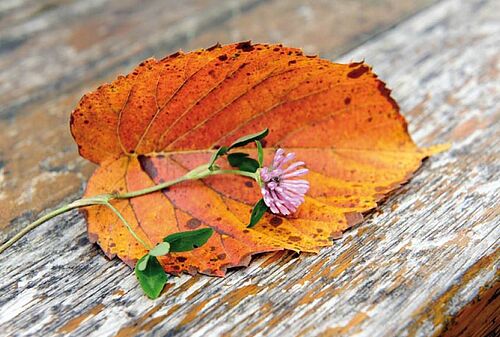 Nordkirchen-Bischöfe gestalten spirituellen Kalender - nordkirche.de