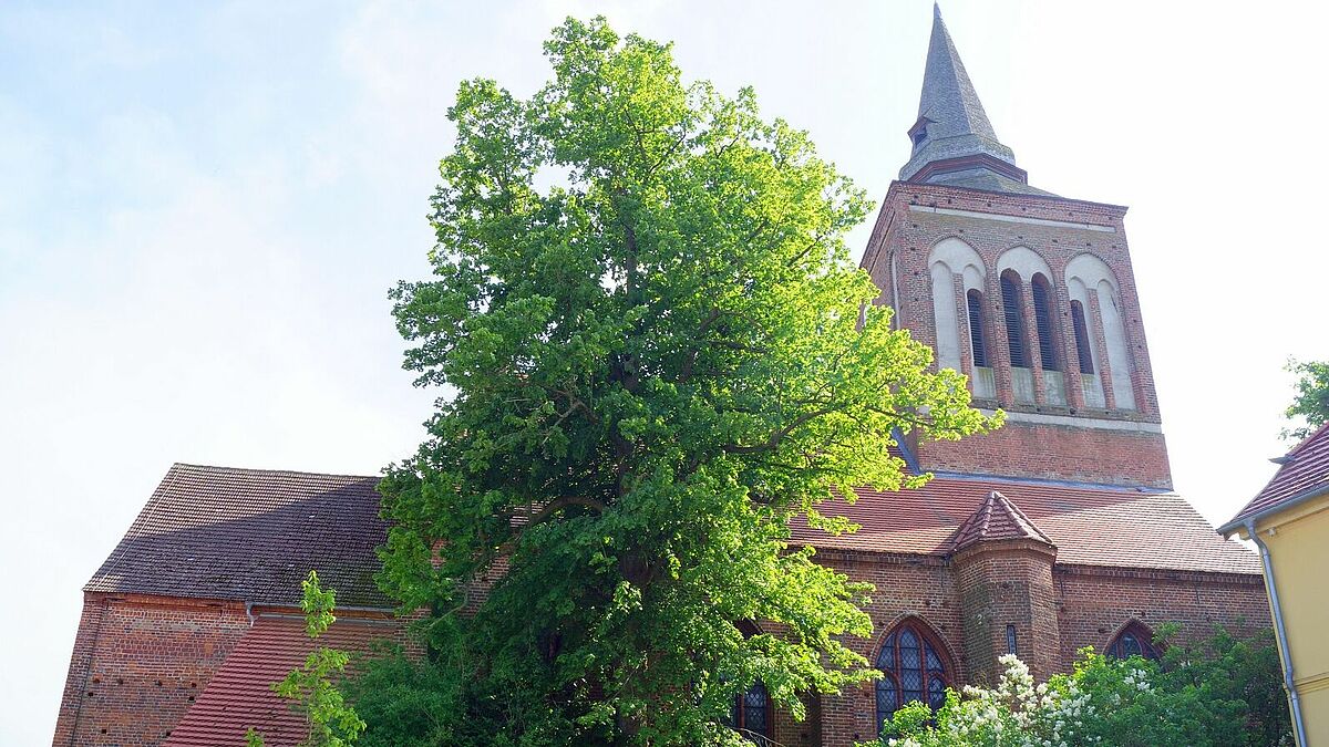Die Kirche St. Johannis in Lassan