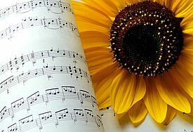 Sonnenblume mit Liedheft