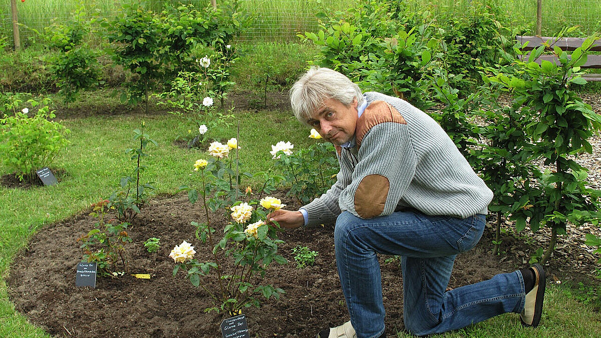 Pastor Ulrich Kasparick in seinem Rosengarten. (Archivbild)