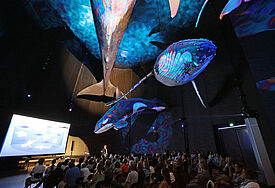 Rund 120 junge Menschen aus Deutschland, Finnland, Österreich, Polen und Tansania wollen sich im Ozeaneum (Foto) in Stralsund treffen.