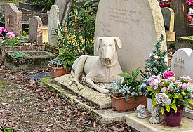Tierfriedhof Paris 