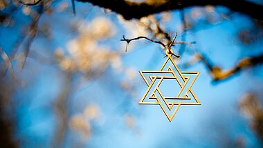 Davidstern im Baum