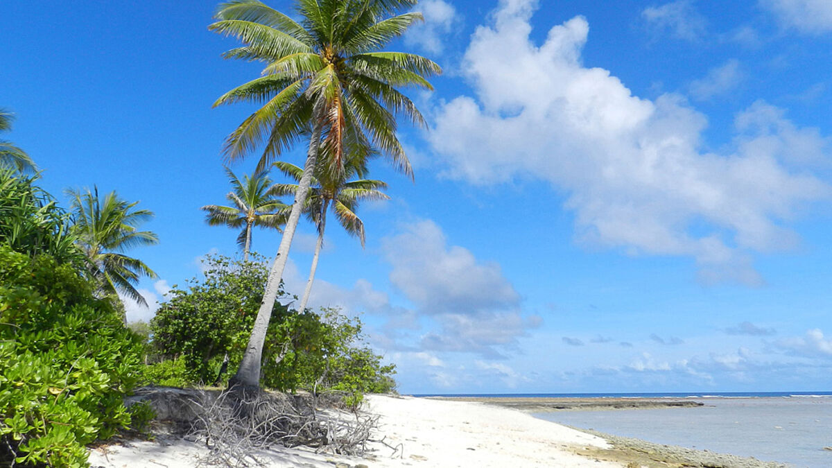 Naa, die Nordspitze der Kiribati-Insel Tarawa, sieht aus wie ein Südseeparadies. Doch an einigen Palmen wird die Erosion der Küste bereits sichtbar. Der Klimawandel hat das Grundwasser versalzen lassen. Die Menschen sind weggezogen.