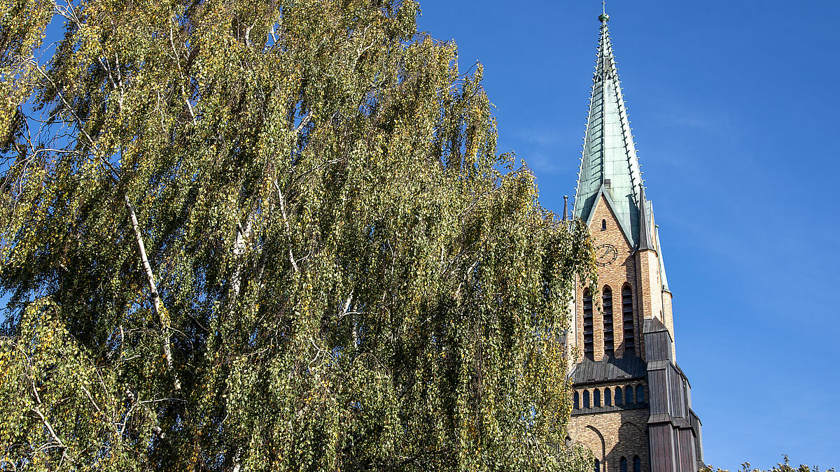 Blick auf den sanierten Domturm zu Schleswig