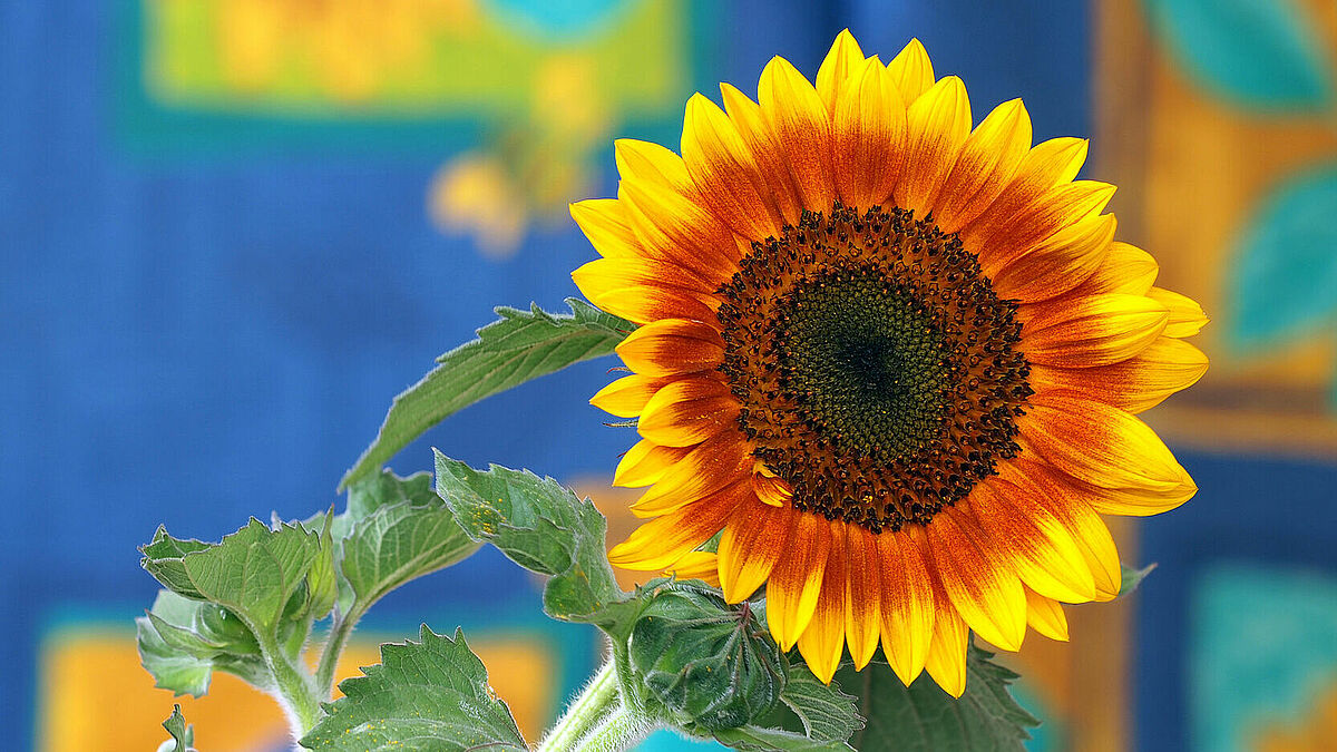 Symbolbild / Fotolia