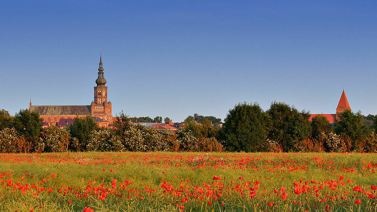 Das Treffen der Bischöfe fand in Greifswald statt. 
