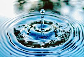 Ein Wassertropfen erzeugt Wellen in Ringform in einem See.