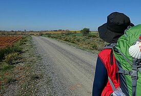 "Abpilgern"-Gottesdienst in St. Jacobi Pilger mit Rucksack und Jakobsmuschel von hinten fotografiert, vor ihm der Weg, von Landschaft umgeben