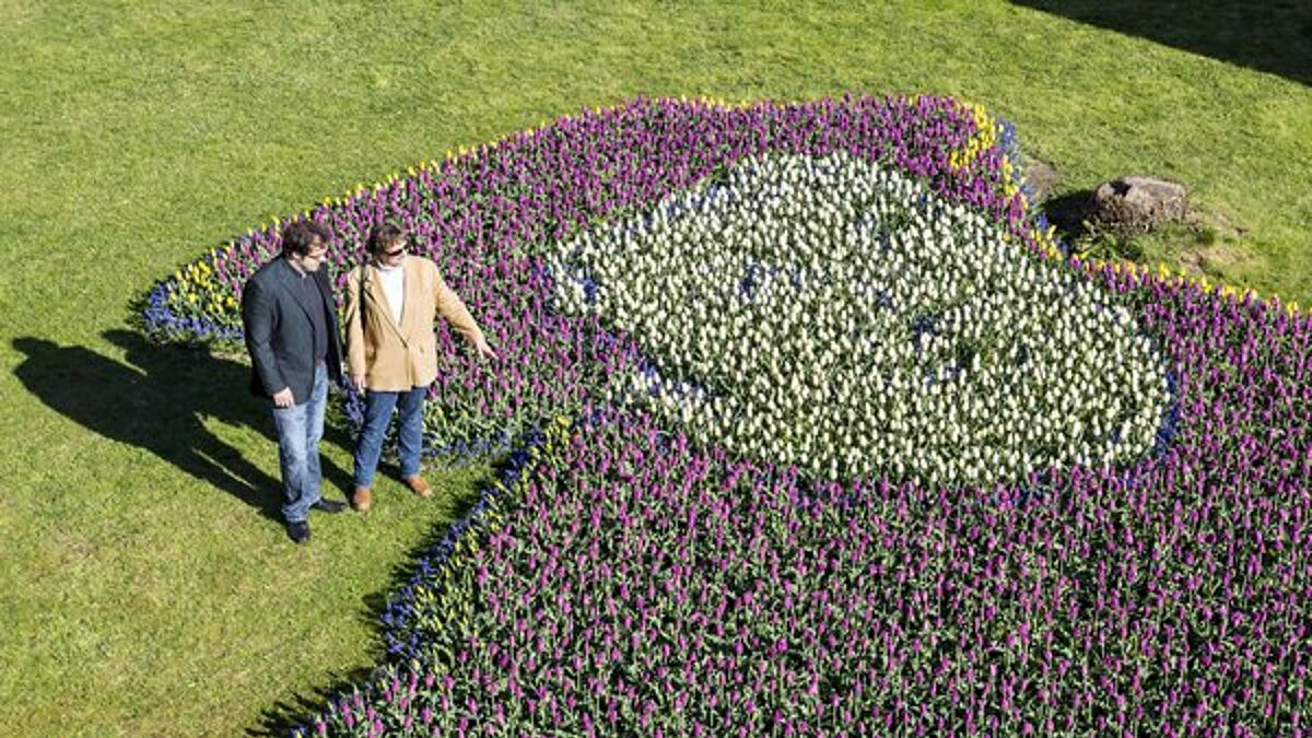Aus 20.000 Tulpenzwiebeln besteht dieser Kirchgarten. Er zeigt das Konterfei Martin Luthers.