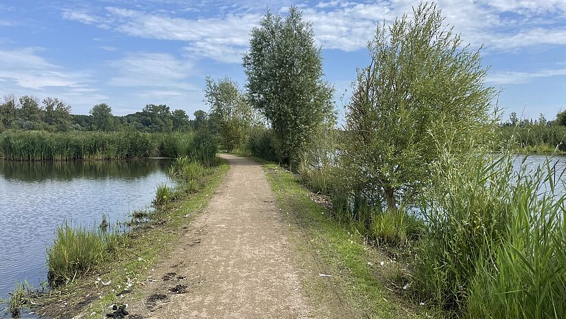 Jakobsweg mit Büschen durch ein Moor, links und rechts Wasserflächen
