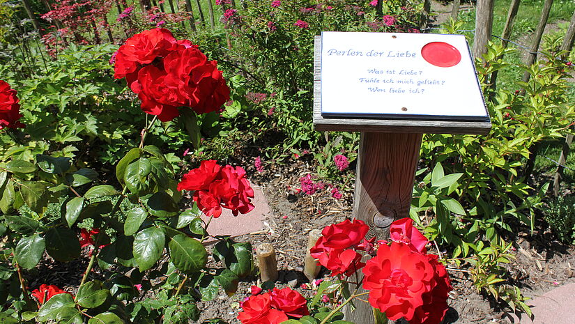 Ein rot blühender Rosenbusch und eine Platte mit der Beschriftung: Perle der Liebe