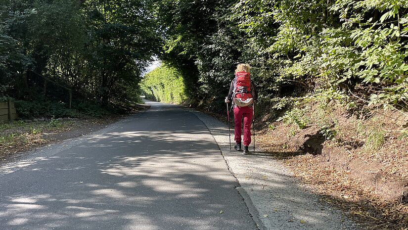 Asphaltierte Nebenstraße mit Knicks links und rechts, auf der eine Pilgerin wandert. 
