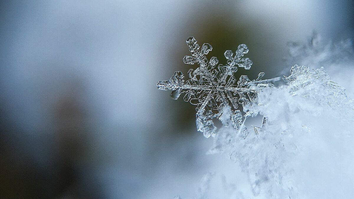 Die "Zeit zwischen den Jahren", auch Raunächte genannt, wird von immer mehr Menschen wieder entdeckt als Zeit zum Innehalten und Kraft tanken.