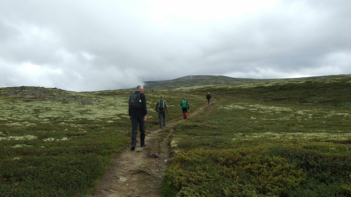 Pilgern auf dem Dovrefjell (Olavsweg).