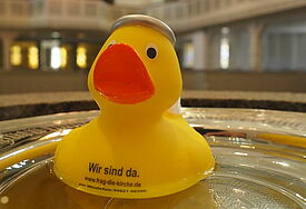 Quietsche-Ente mit Heiligenschein schwimmt in Taufbecken.