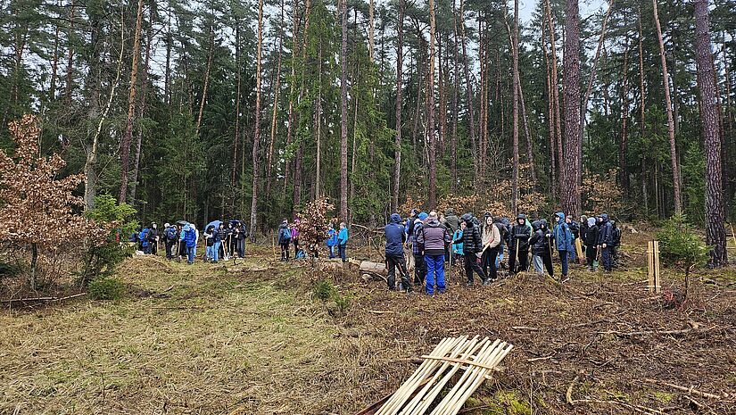 Rund 160 Jugendliche und Landesbischöfin pflanzen Setzlinge bei Klimacamp Mecklenburg in Krakow