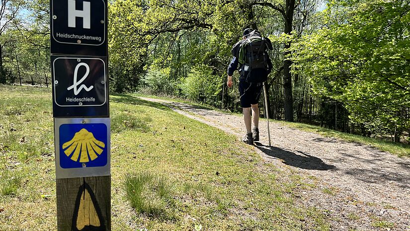 Der Pilgerweg Jacobusweg, oder Jakobsweg, führt von Hamburg über Soltau nach Celle durch die Lüneburger Heide. Der Weg ist durchgängig mit einer gelben Muschel auf blauen Untergrund beschildert.