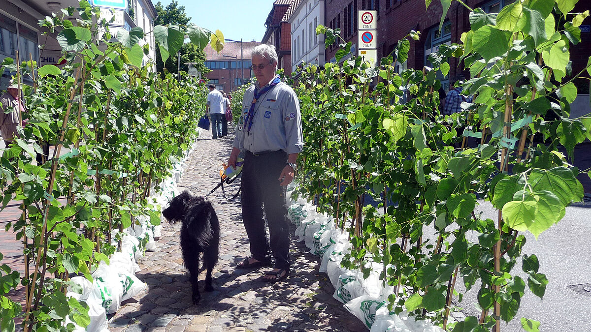 Vor einem Jahr auf Lindensuche:?ein Gründungsfest-Besucher aus Kiel-Mettenhof sucht in der „Lindenallee“ in Ratzeburg sein Bäumchen. 