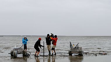 Sedimentbohrkerne werden zur Erfassung von Siedlungsresten und der Rekonstruktion der Landschaftsentwicklung an ausgewählten Stellen im Watt gewonnen.