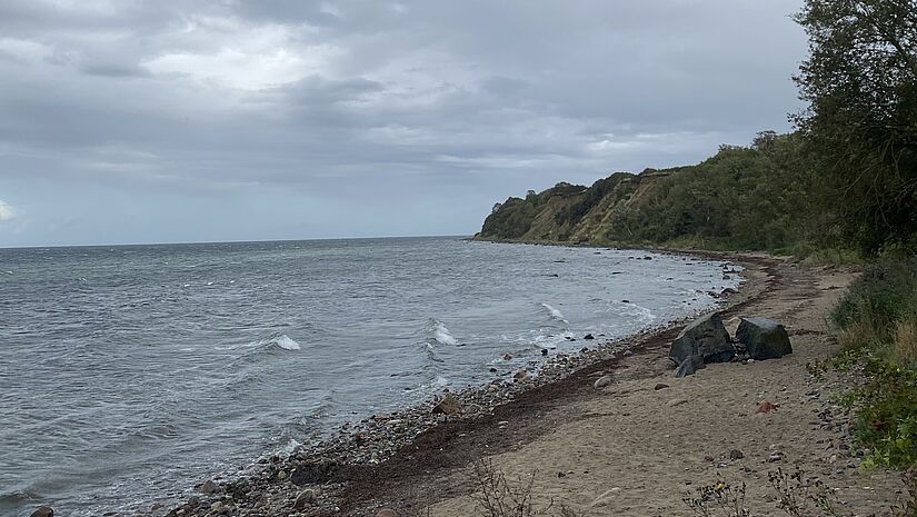 Ostsee-Strand bei Boltenhagen 