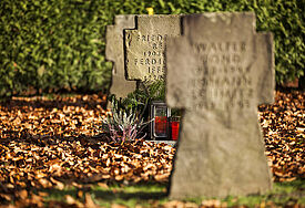 Kriegsgräberfelder auf einem Friedhof - Am Volkstrauertag gedenken die Menschen der Kriegstoten und der Opfer von Gewaltherrschaft aller Nationen.